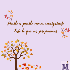 Pasito a pasito hacemos camino