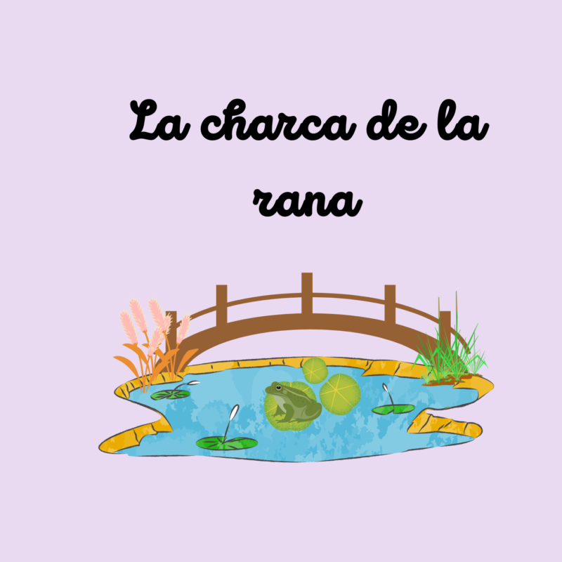 La charca de la rana 🐸